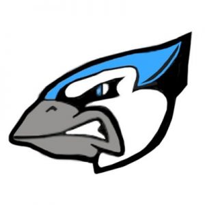 Logo for Blue Jays Republic Fan Site For the Toronto Blue Jays